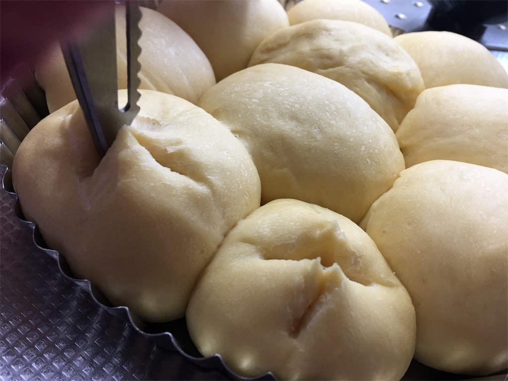 f:id:SYUREI:20190328085602j:image