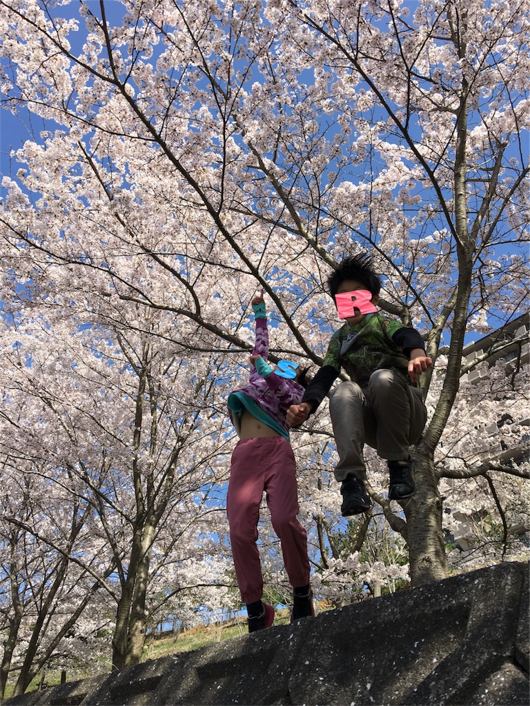 f:id:SYUREI:20190410103948j:image