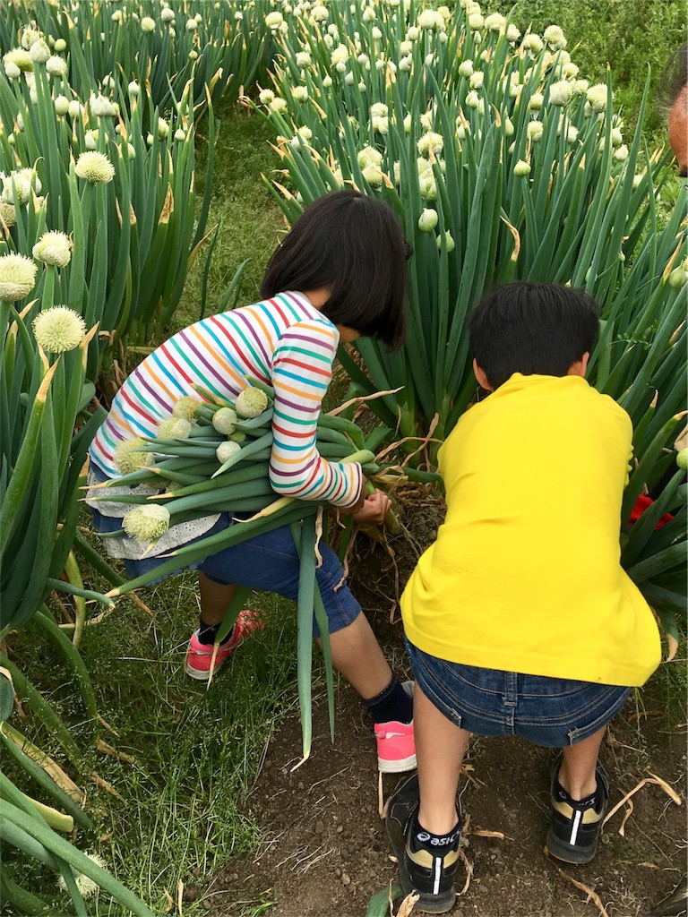f:id:SYUREI:20190430150339j:image