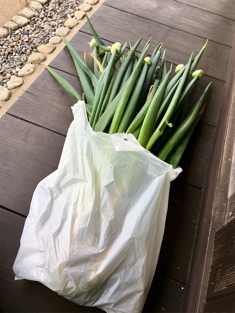 f:id:SYUREI:20190430150344j:image