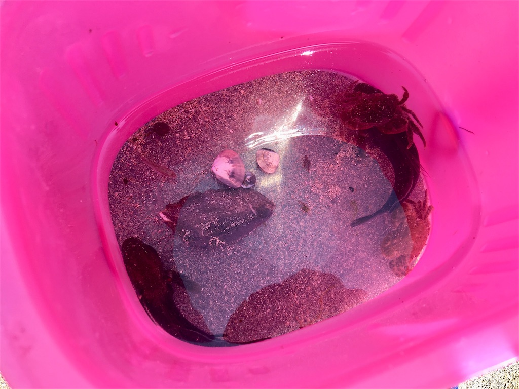 f:id:SYUREI:20190504161534j:image