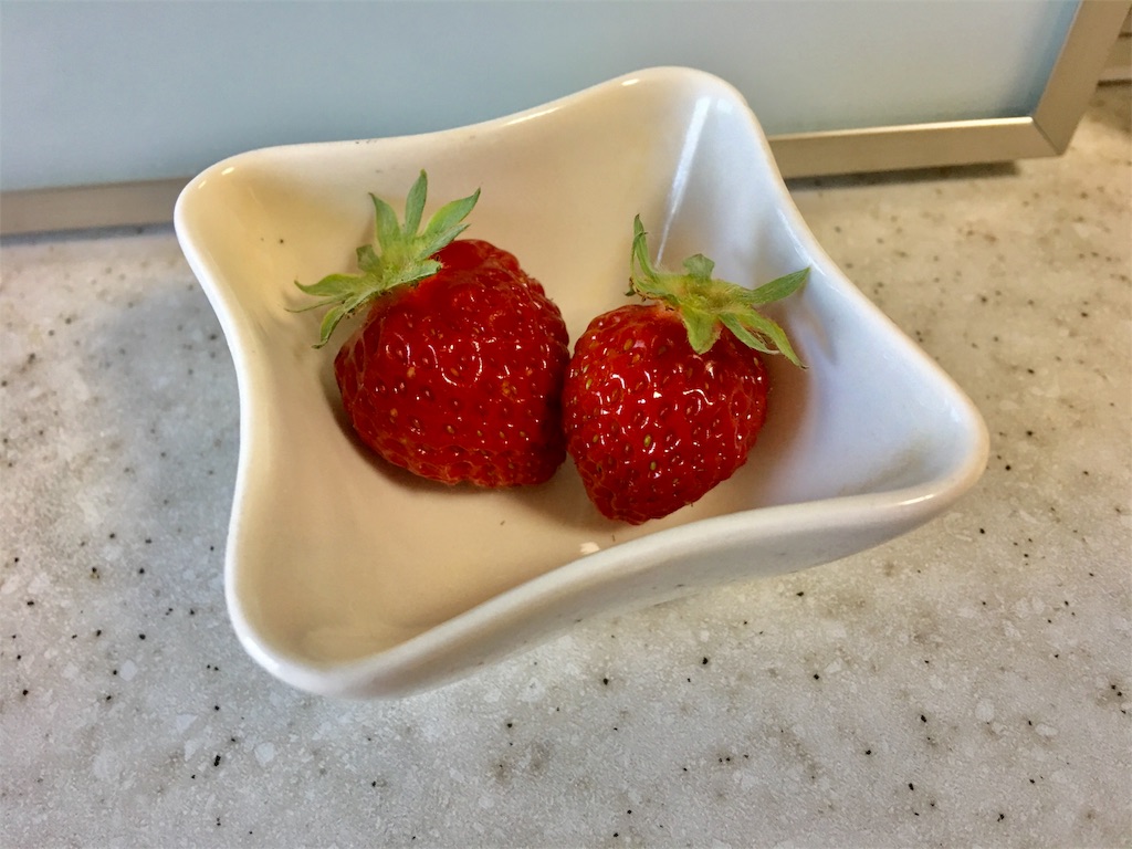 f:id:SYUREI:20190519110145j:image