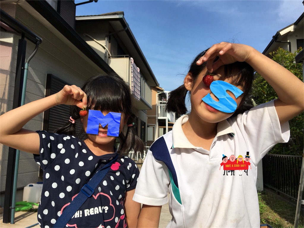 f:id:SYUREI:20190519110427j:image