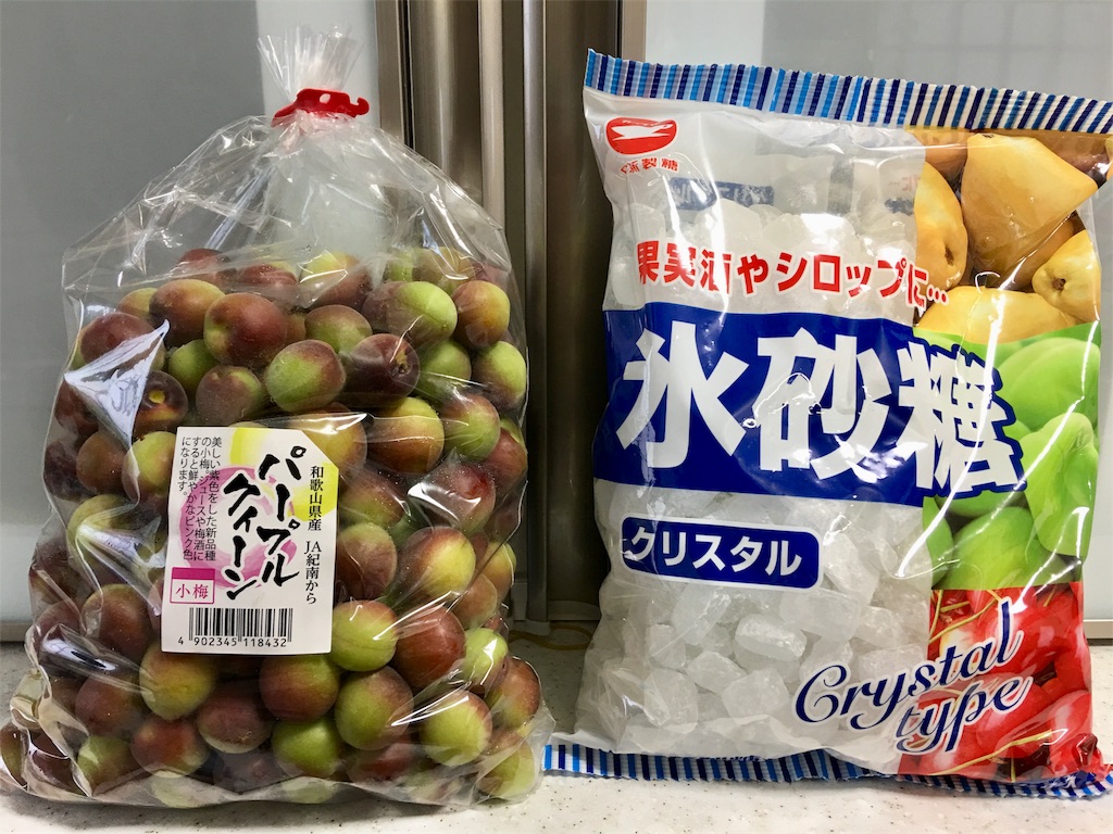 f:id:SYUREI:20190606090006j:image