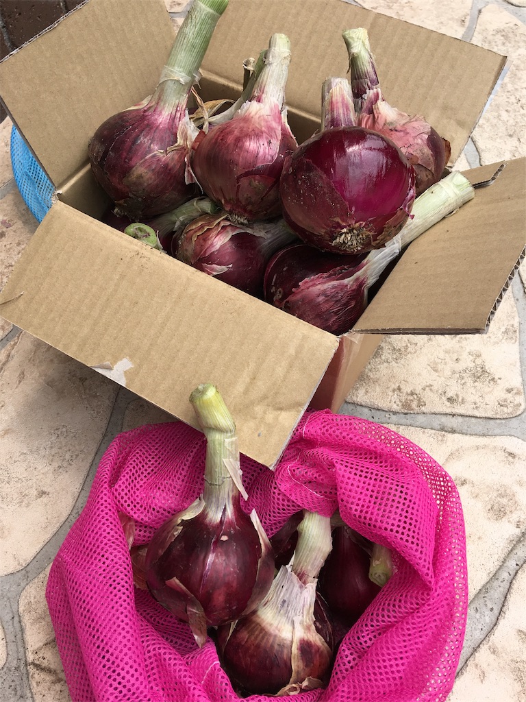 f:id:SYUREI:20190611171829j:image