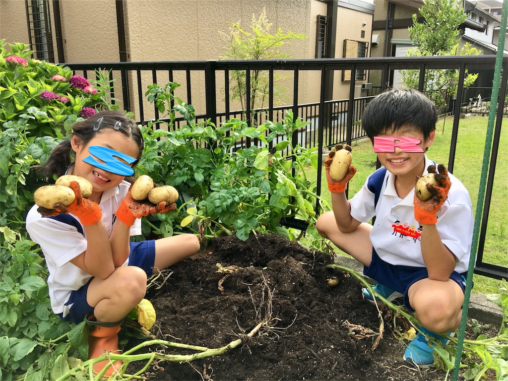 f:id:SYUREI:20190619094905j:image