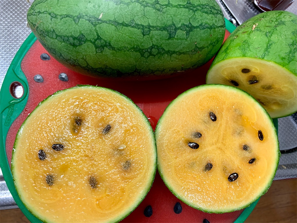 f:id:SYUREI:20190905112302j:image