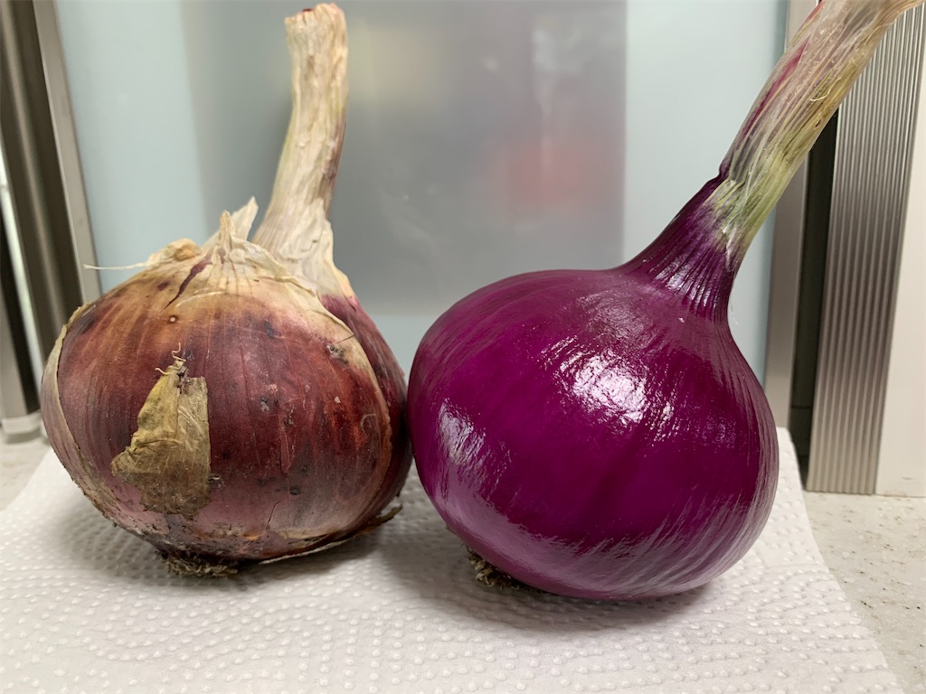 f:id:SYUREI:20200617114838j:image