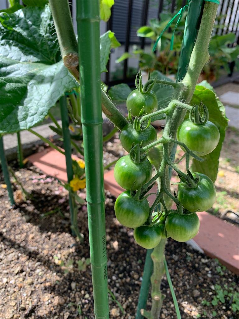 f:id:SYUREI:20200617152938j:image