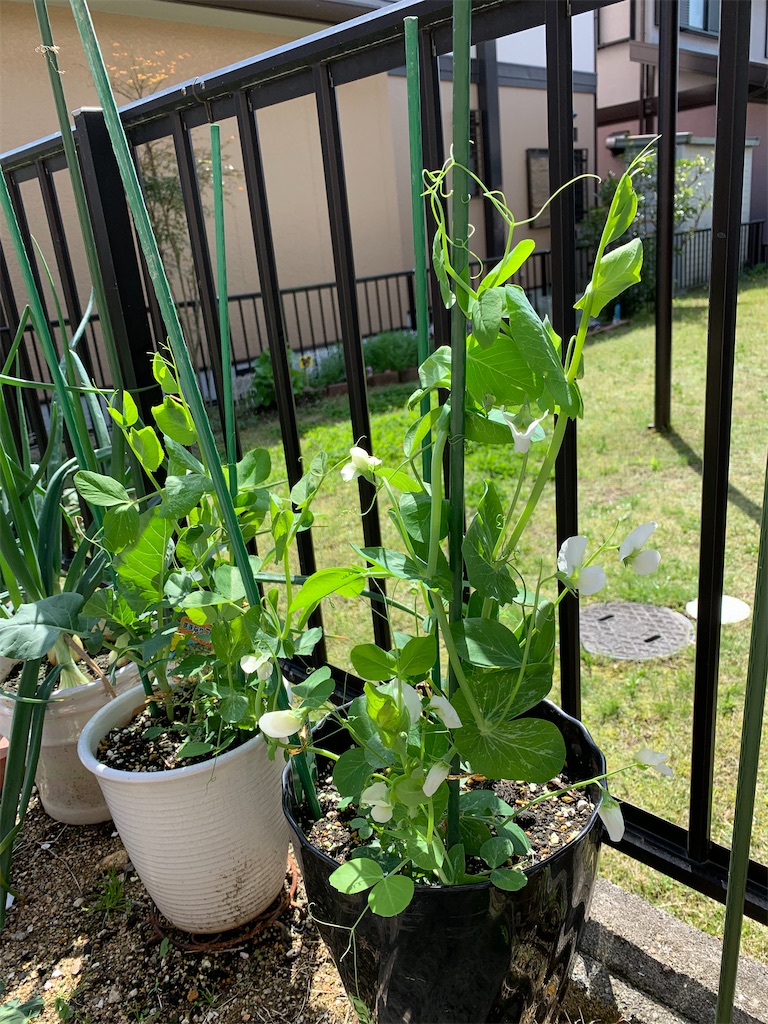 f:id:SYUREI:20230416141034j:image