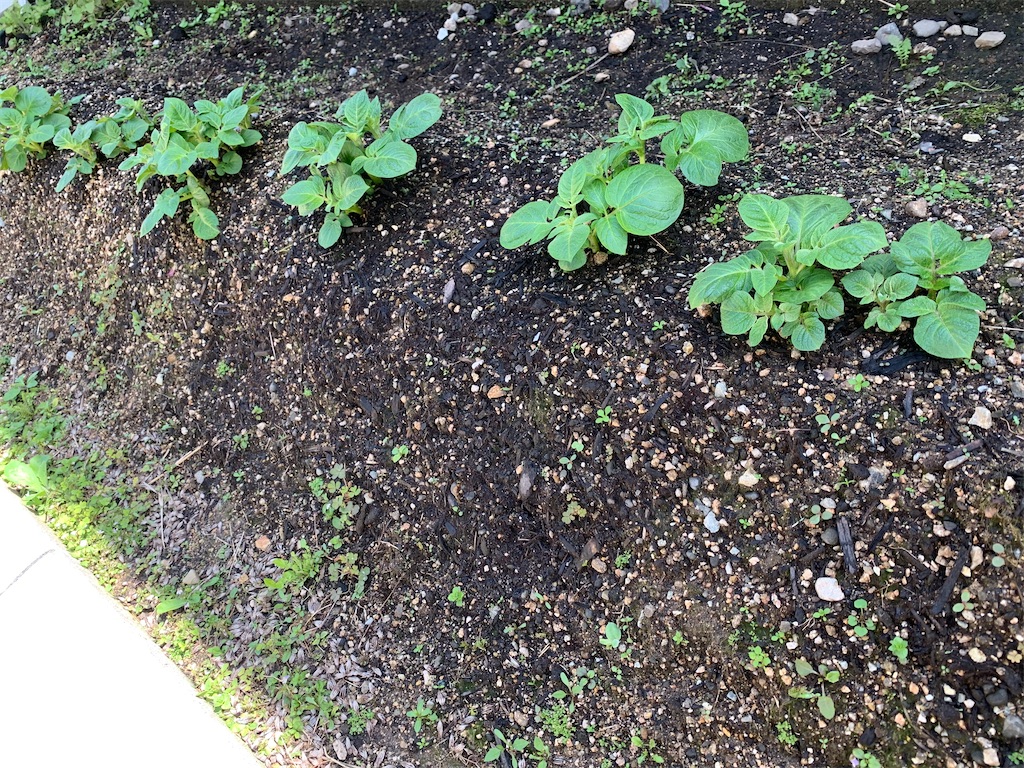 f:id:SYUREI:20230416141222j:image