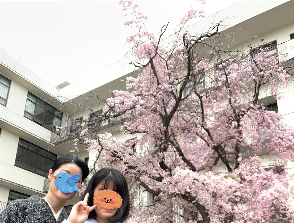 f:id:SYUREI:20240521124017j:image