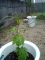 20080602120500