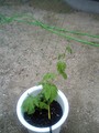 20080608170100