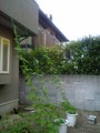 20080705173400