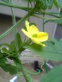 20080719061700