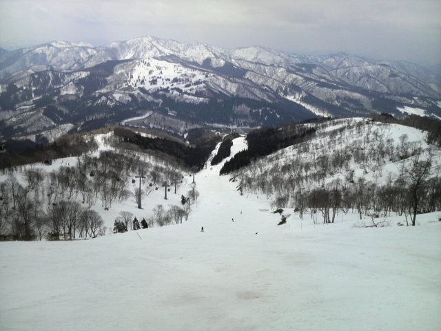 f:id:S_a_k_U:20100327113900j:image:w240