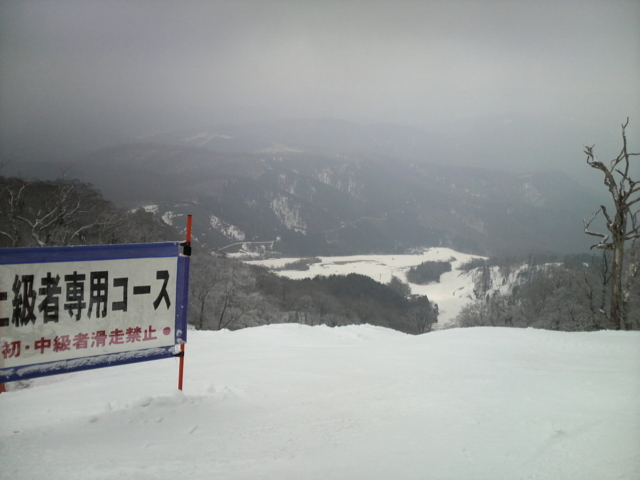 f:id:S_a_k_U:20100328091200j:image:w240