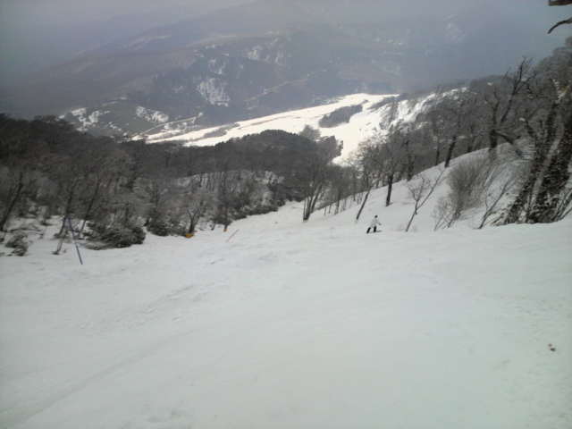 f:id:S_a_k_U:20100328095000j:image:w240