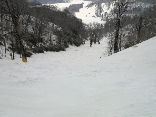 f:id:S_a_k_U:20100328095200j:image:w240