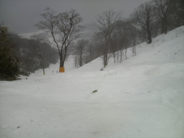 f:id:S_a_k_U:20100328123100j:image:w240