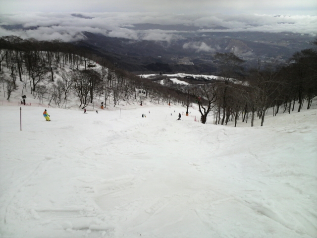 f:id:S_a_k_U:20100411094400j:image:h240