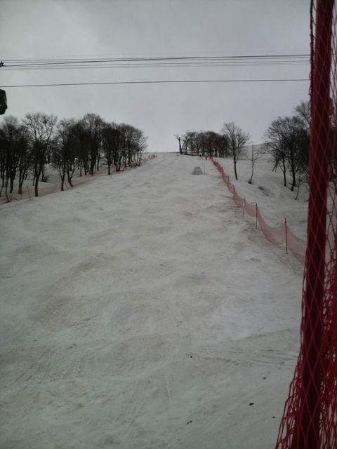 f:id:S_a_k_U:20100411095000j:image:h240