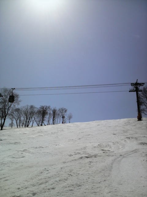 f:id:S_a_k_U:20100411105400j:image:h240