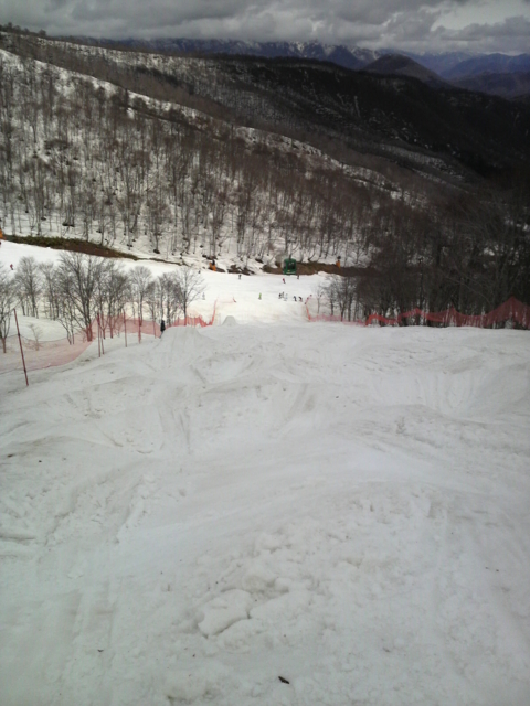 f:id:S_a_k_U:20100411113400j:image:h240