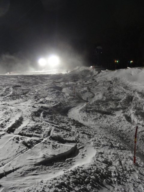 f:id:S_a_k_U:20110129220522j:image:h240