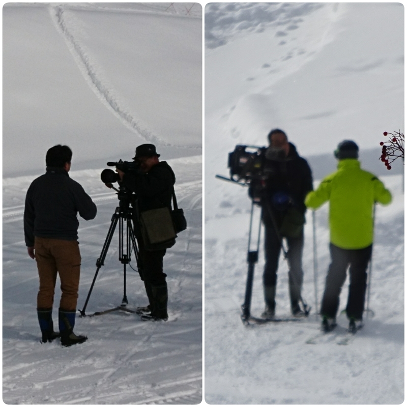 f:id:S_a_k_U:20200207202750j:plain:w300 f:id:S_a_k_U:20200207202750j:plain:w300