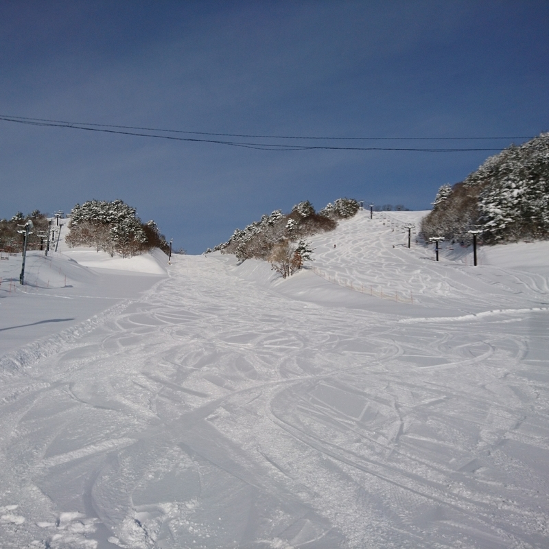 f:id:S_a_k_U:20200207203019j:plain:w300