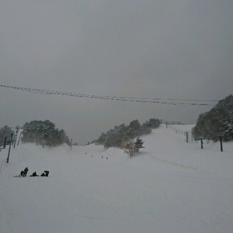 f:id:S_a_k_U:20200210164352j:plain:w300