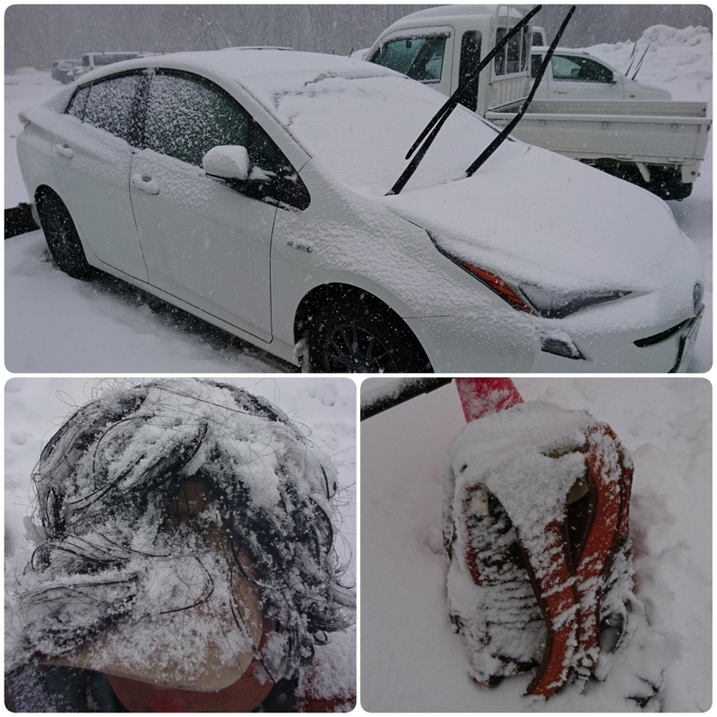 f:id:S_a_k_U:20200210164911j:plain:w300