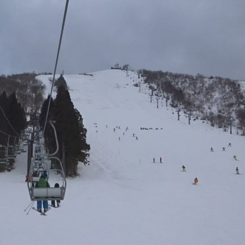 f:id:S_a_k_U:20200223212718j:plain:w300