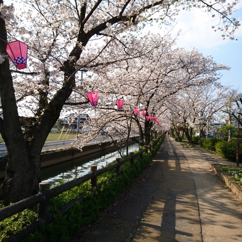 f:id:S_a_k_U:20200618190819j:plain:w300