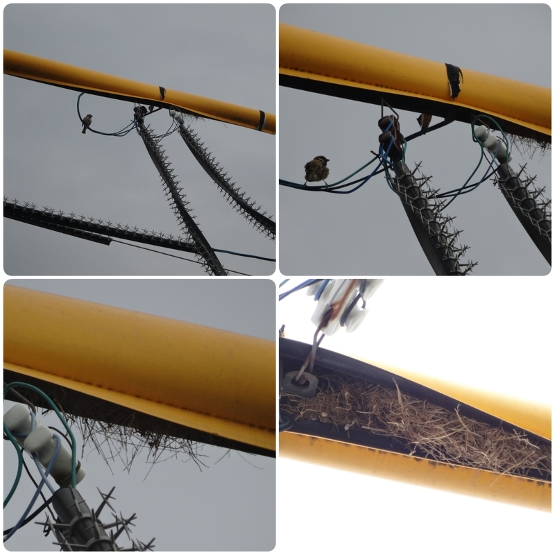 f:id:S_a_k_U:20200620162333j:plain:w300