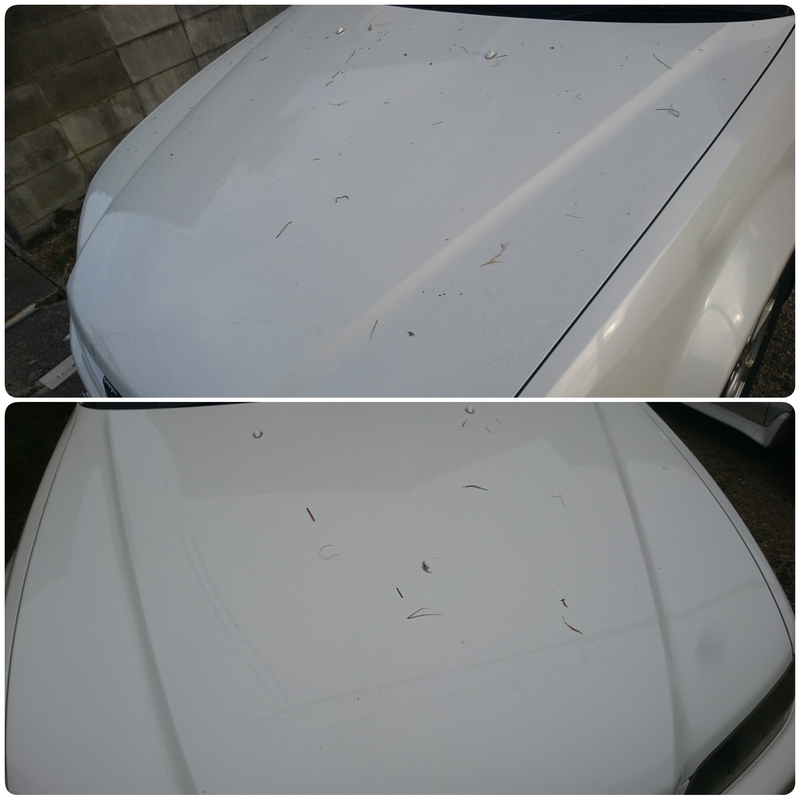 f:id:S_a_k_U:20200620162339j:plain:w300