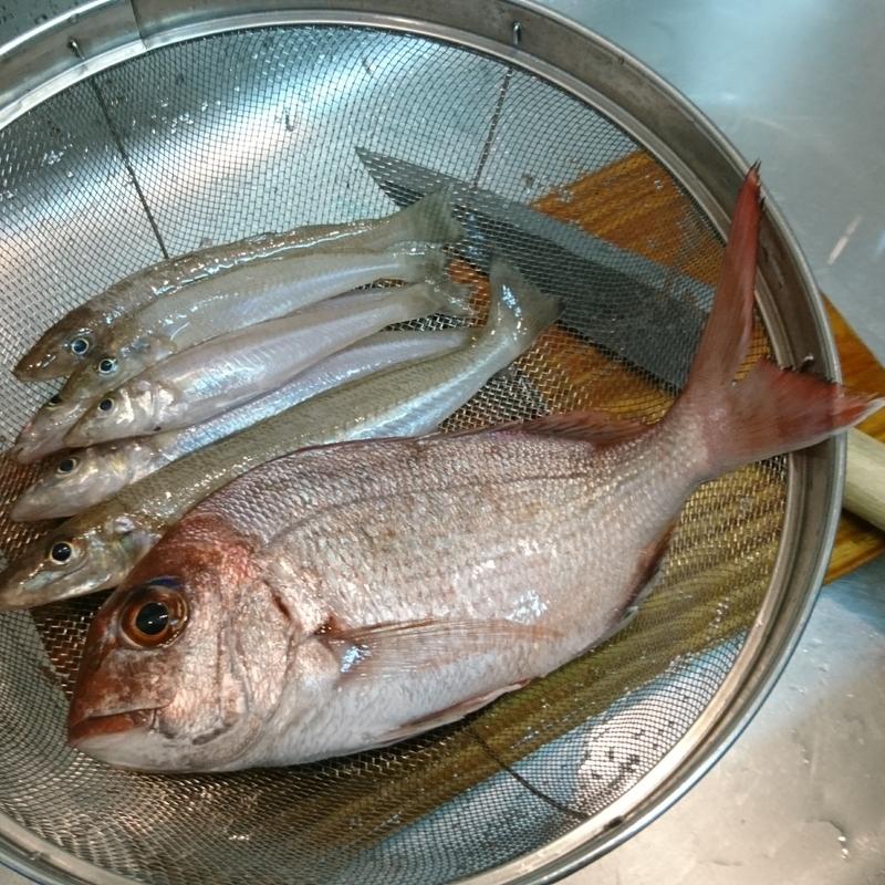 f:id:S_a_k_U:20200620182705j:plain:w300