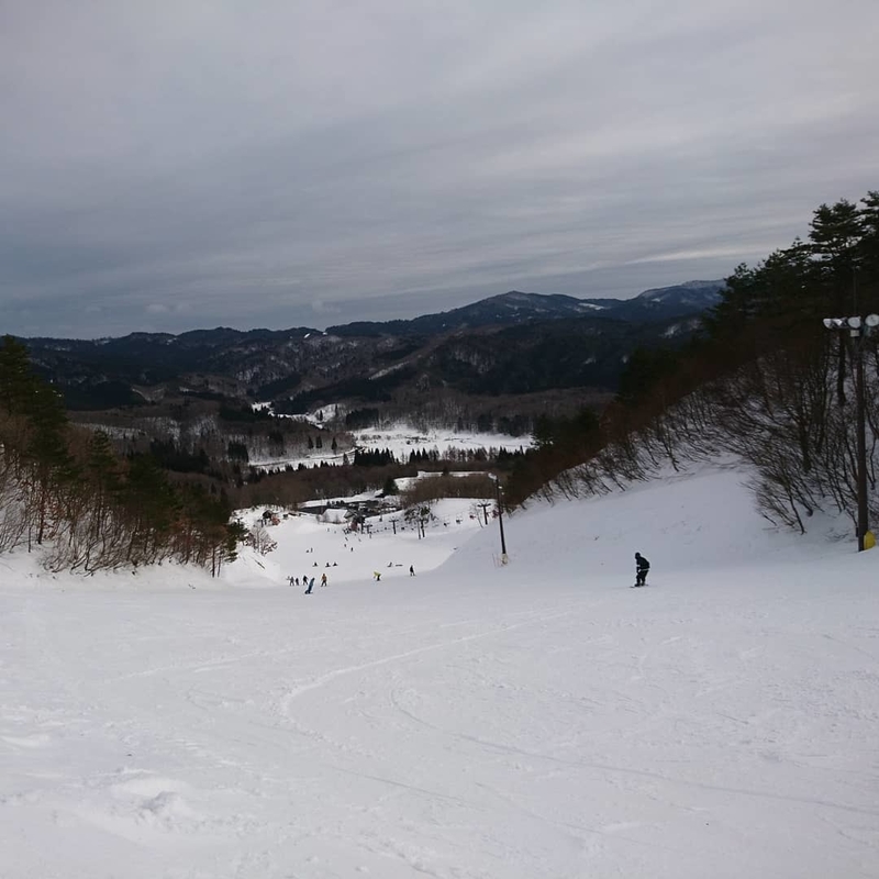 f:id:S_a_k_U:20200626010936j:plain:w300