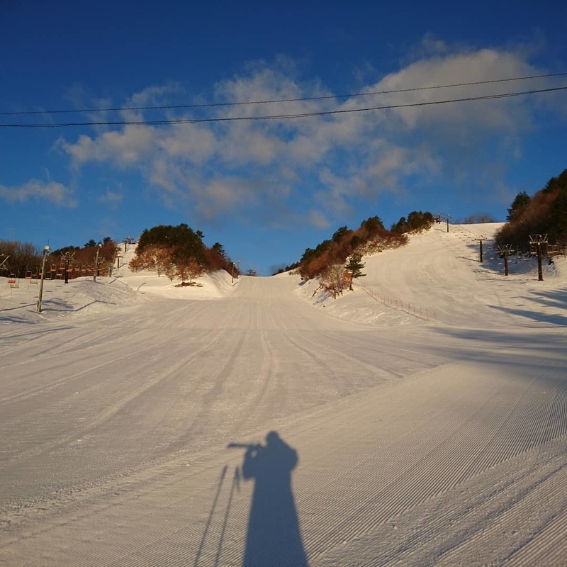 f:id:S_a_k_U:20200626011212j:plain:w300