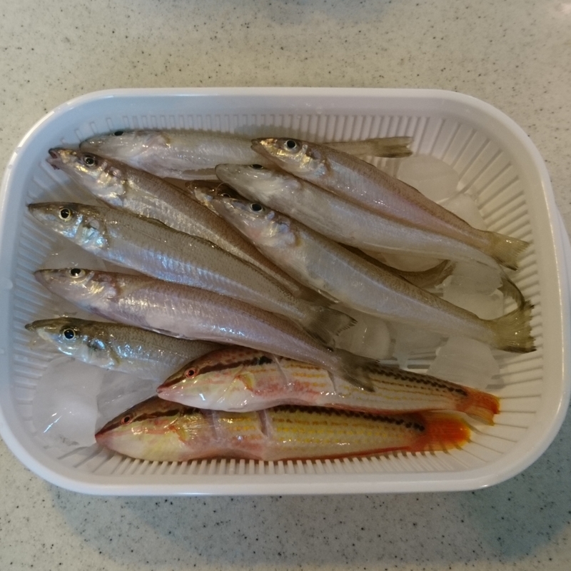 f:id:S_a_k_U:20201019233754j:plain:w300