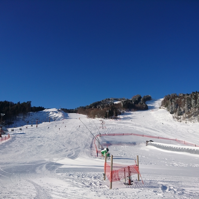 f:id:S_a_k_U:20210120185822j:plain:w300