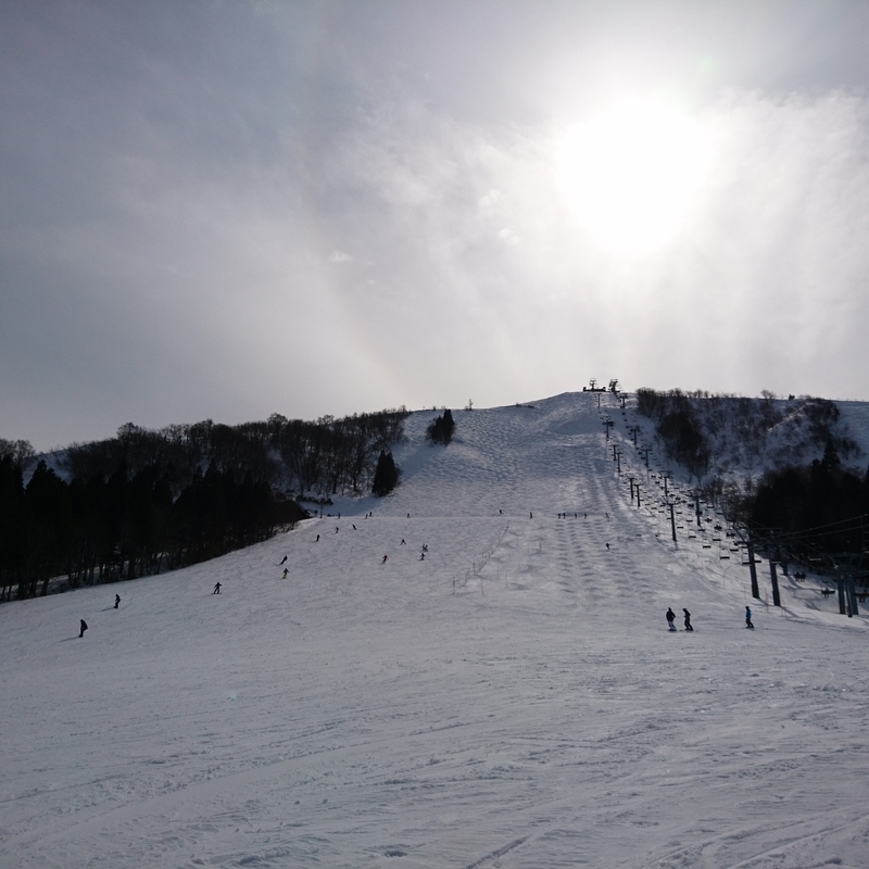 f:id:S_a_k_U:20210223222405j:plain:w300