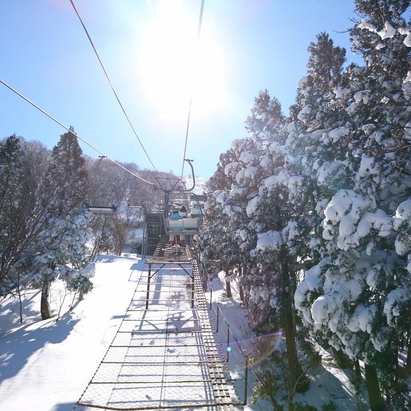 f:id:S_a_k_U:20210223222437j:plain:w300