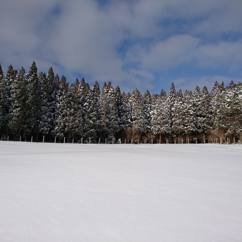 f:id:S_a_k_U:20210223222617j:plain:w300