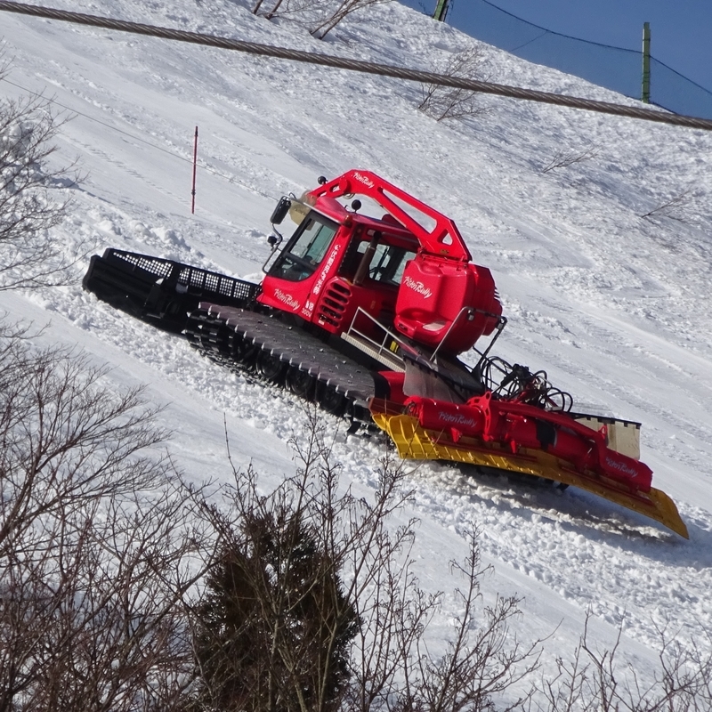 f:id:S_a_k_U:20210302091604j:plain:w300