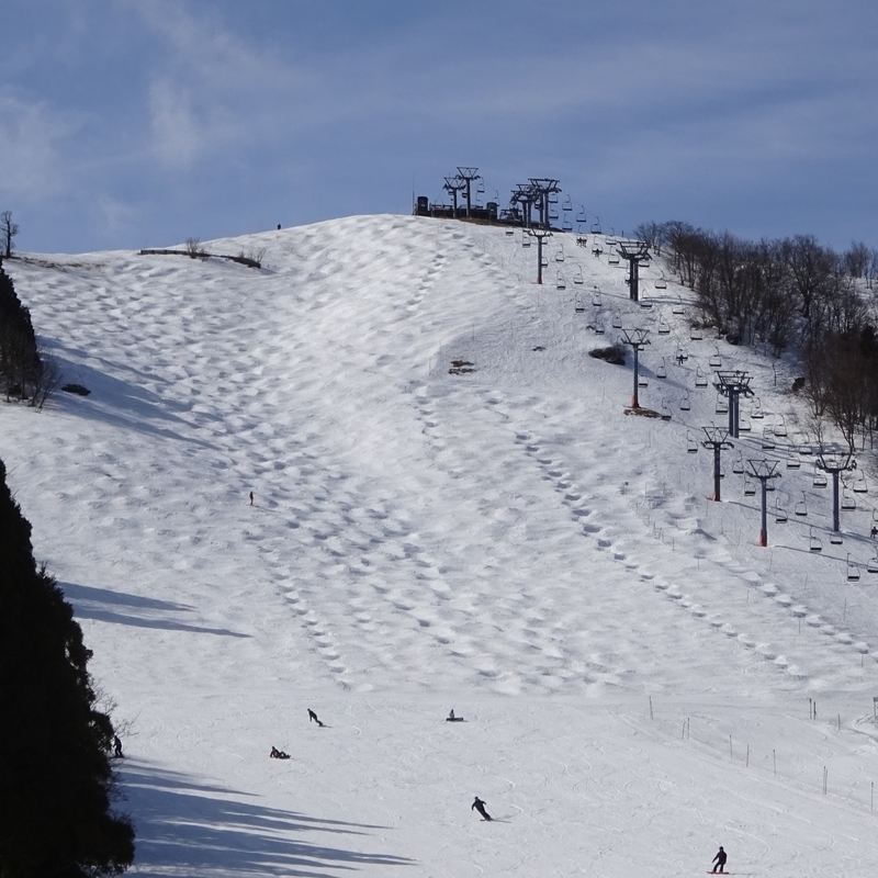 f:id:S_a_k_U:20210302091621j:plain:w300