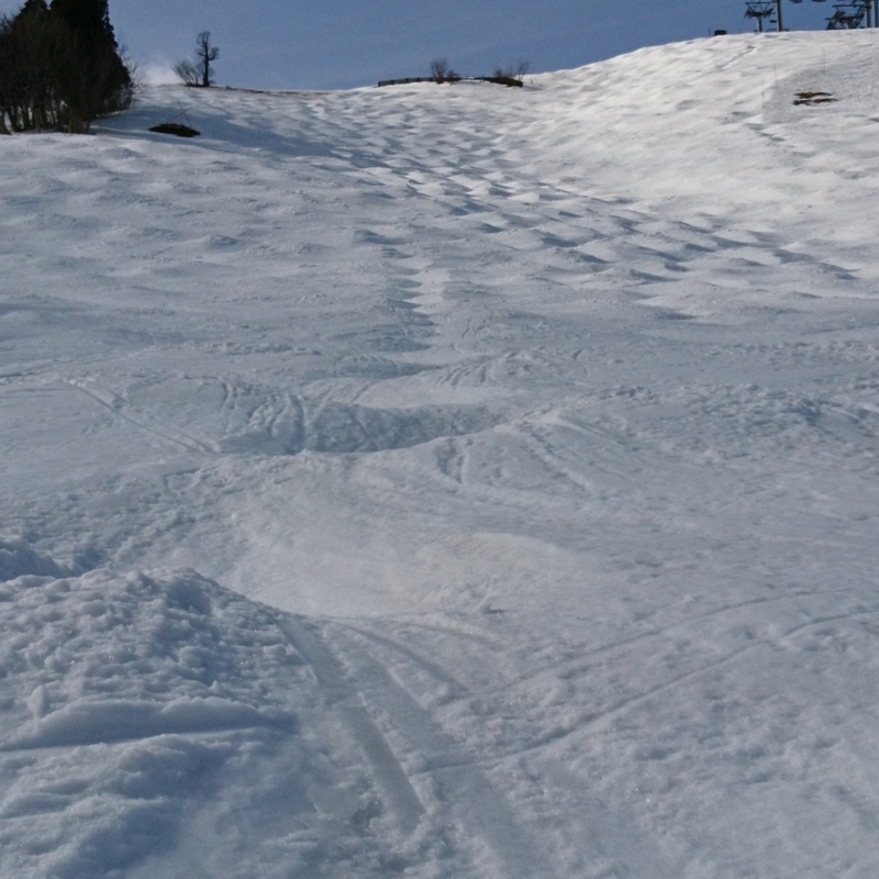 f:id:S_a_k_U:20210302091631j:plain:w300