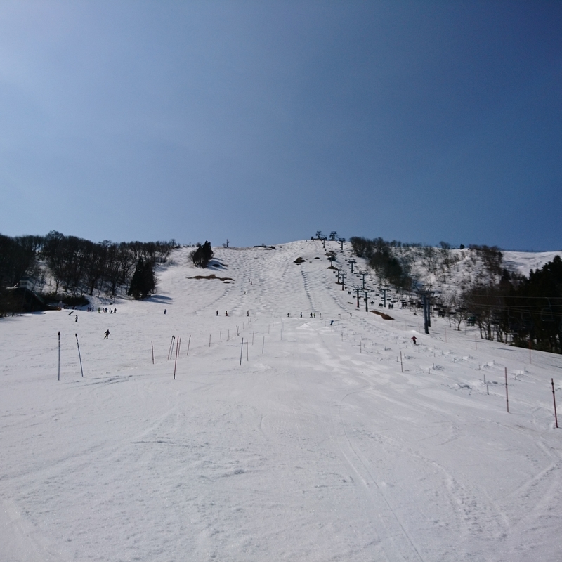 f:id:S_a_k_U:20210324180436j:plain:w300